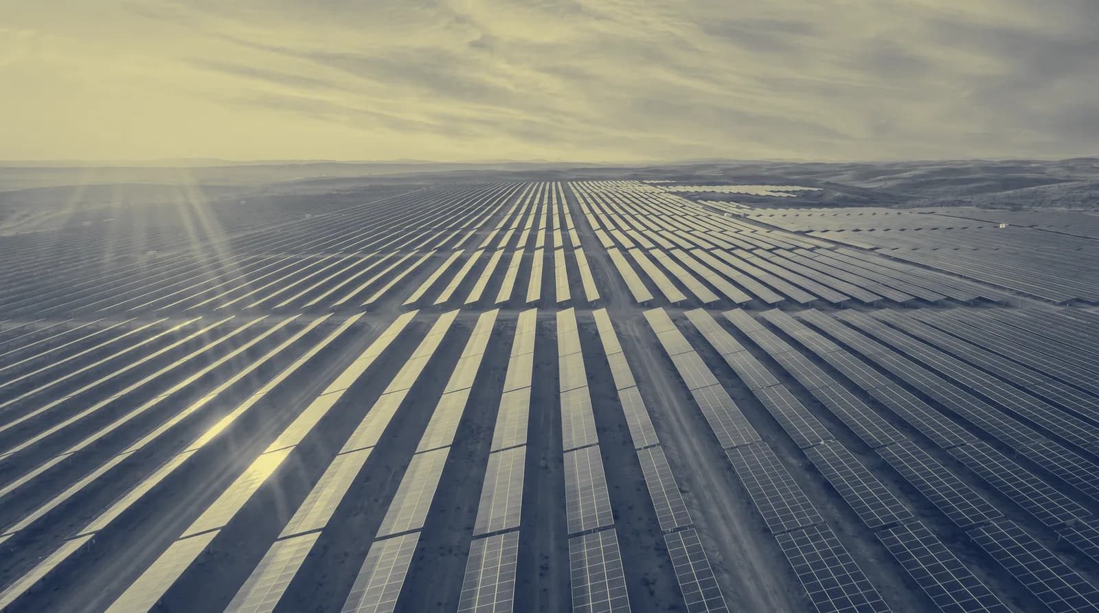 Campo fotovoltaico all'alba, infrastruttura per la produzione di energia
