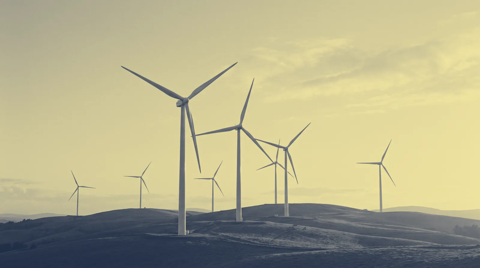 Parco eolico, energia rinnovabile e sostenibilità